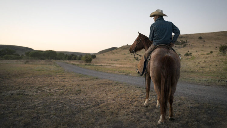 Cowboy in west texas