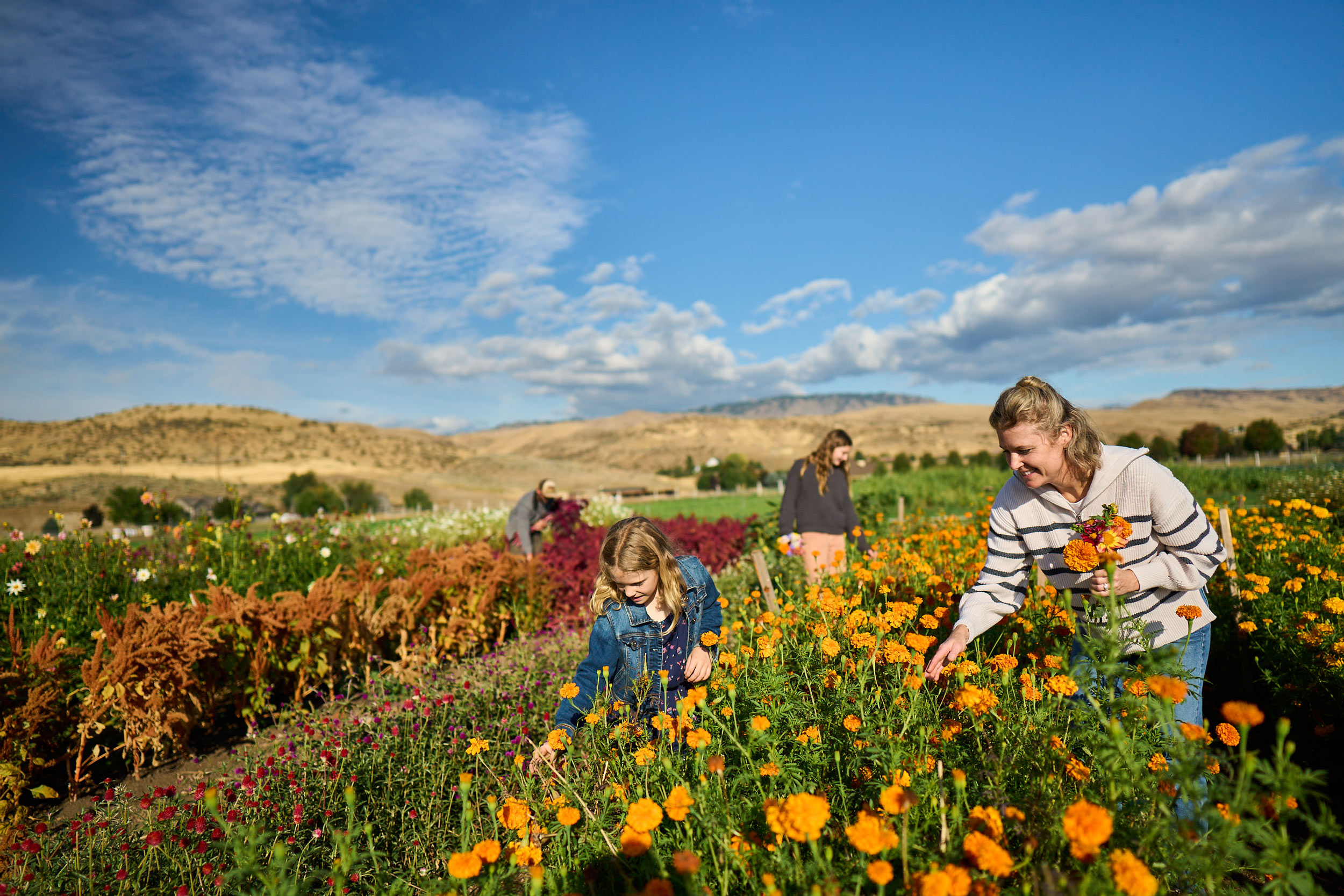 BOFA_BOISE_09_FARM_FLOWERS_06930R