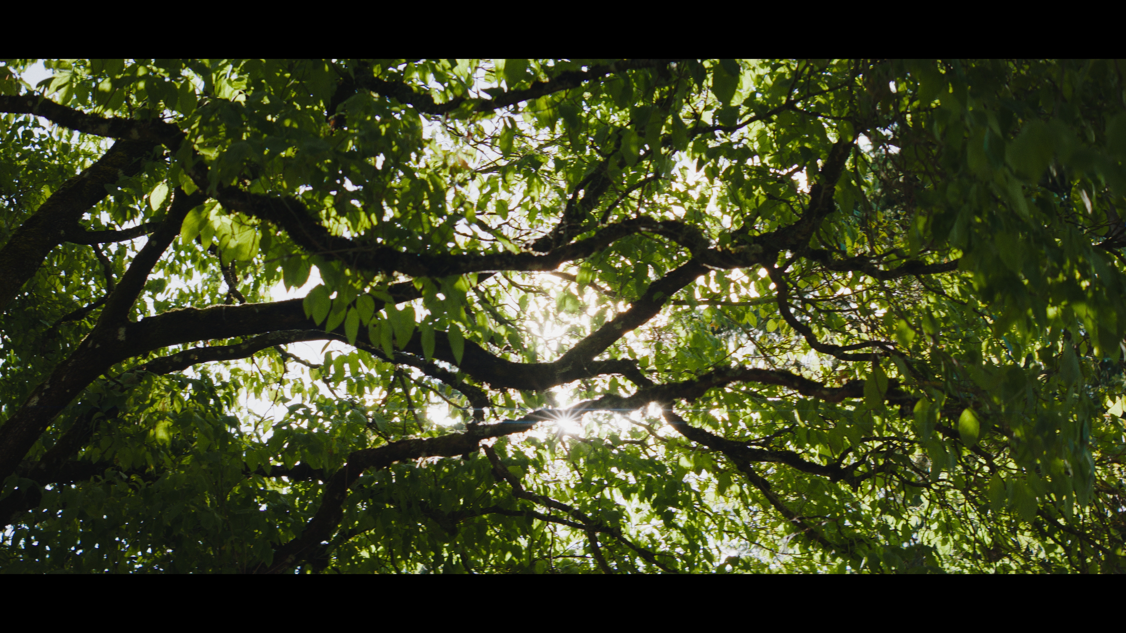 Driven_Memories_Still_2.31.1