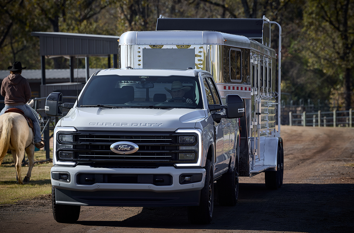 HR8A9419.SupDuty-horse.www