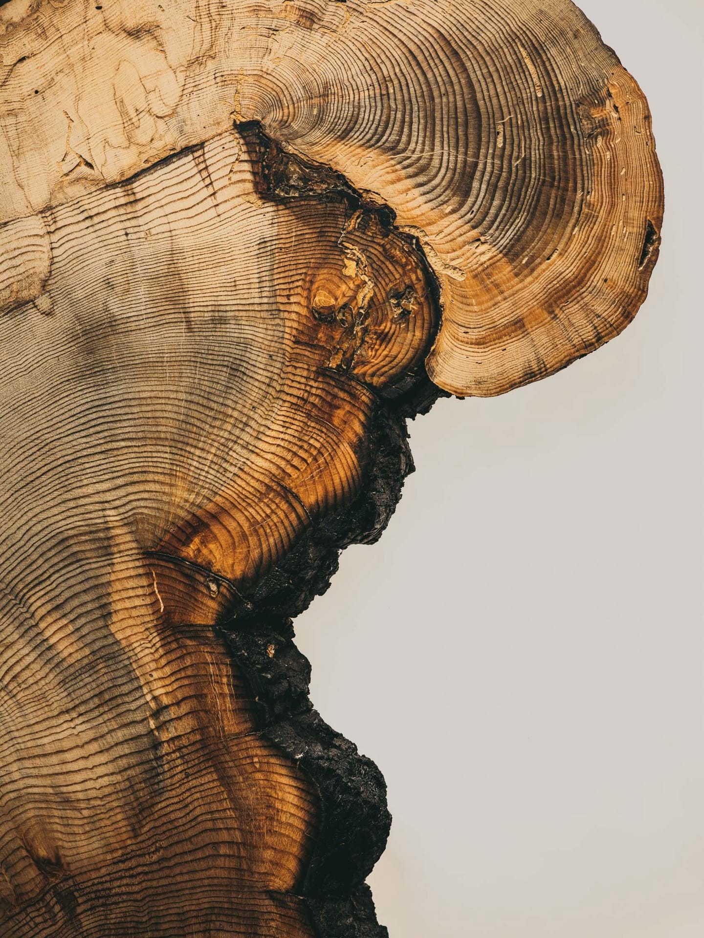 gregkahn__2026-02-14T181454.000Z_1