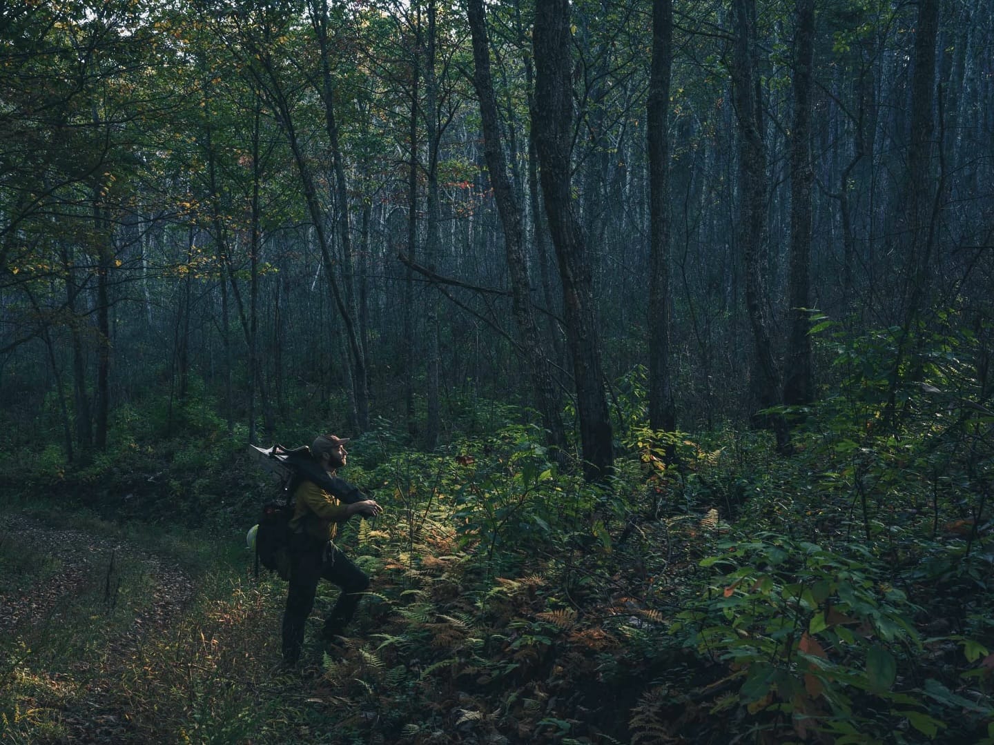 gregkahn__2026-02-15T162814.000Z